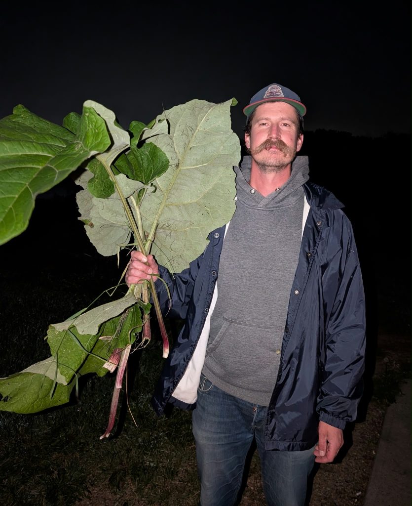 Artist photo Jared Epp.
